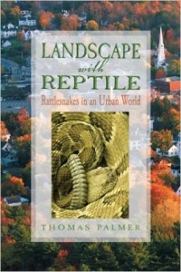 Cover shot of Landscape with Repile