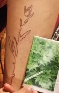 Kaitlin Pomerantz' tatoo (Brooke Herr)