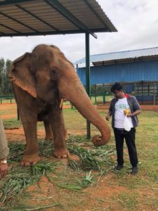 Subrahmanian Santakumar with rescue elephant