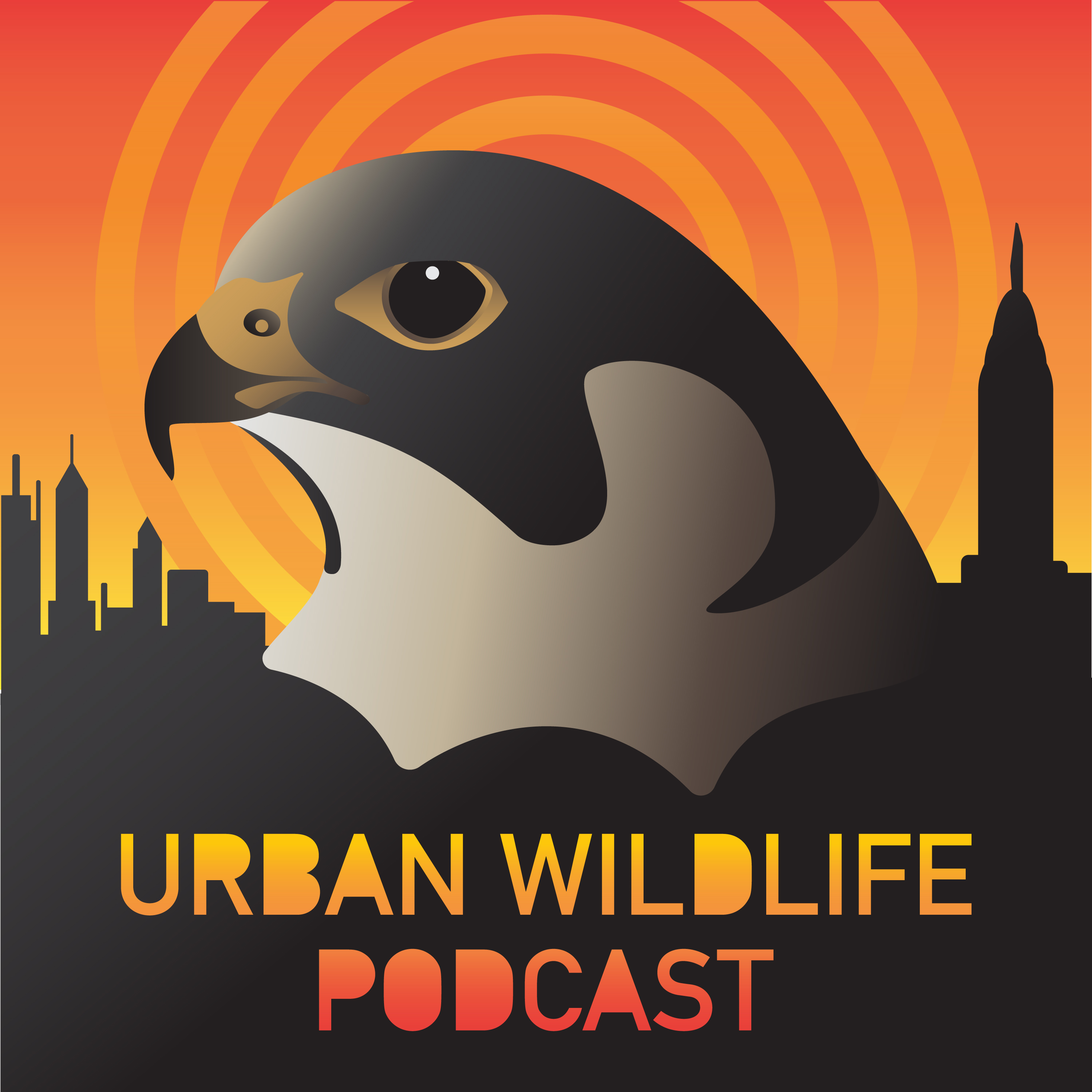 Urban Wildlife Podcast artwork